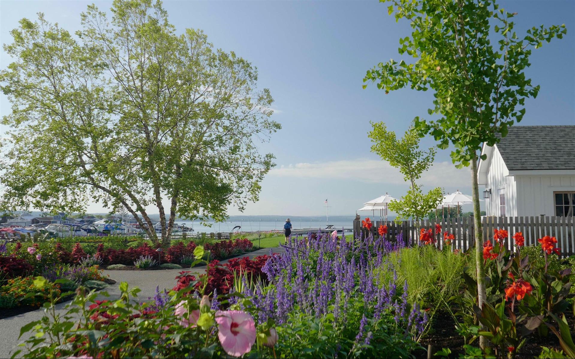 Изображение Meet, Play, Love - Explore Our Current Promotion