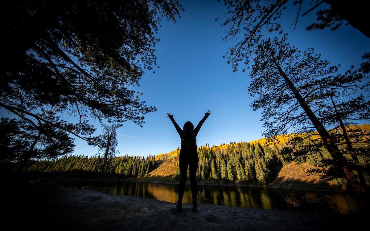 Image de Reward Yourself in 2026