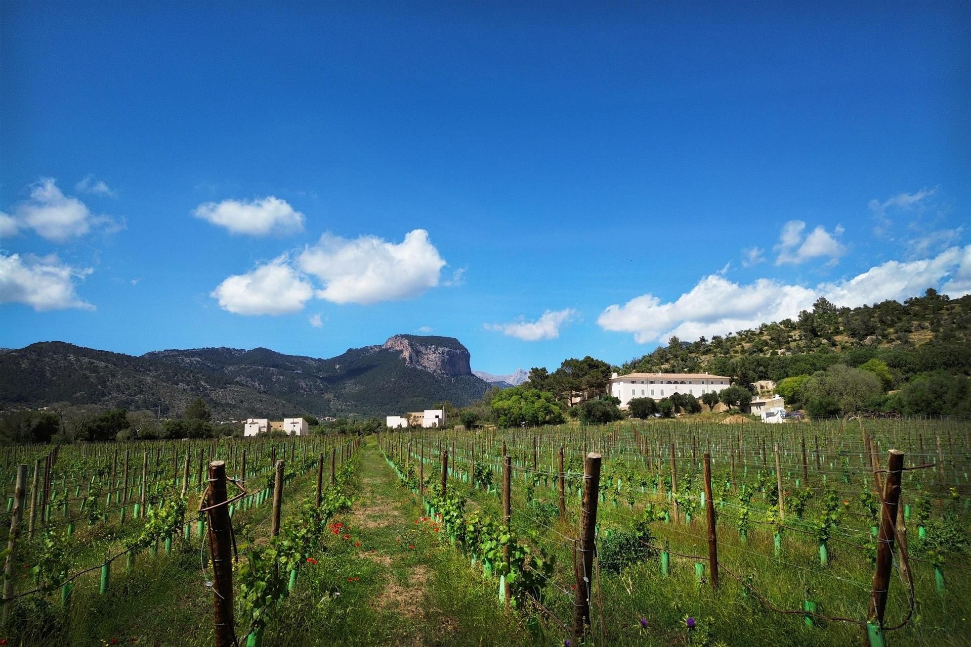 Изображение места проведения