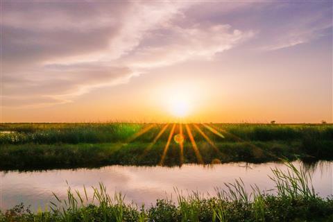 Kreolischer Naturpfad
