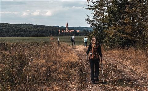 🥾 Scenic Walks & Hiking Trails