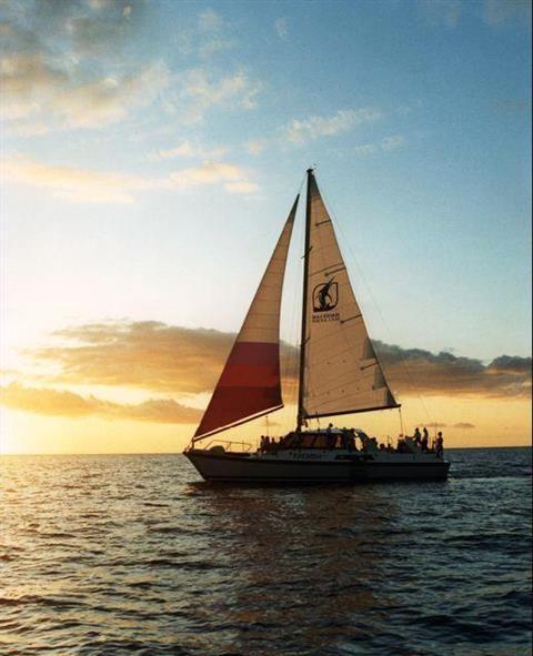 Mauna Lani Sea Adventures