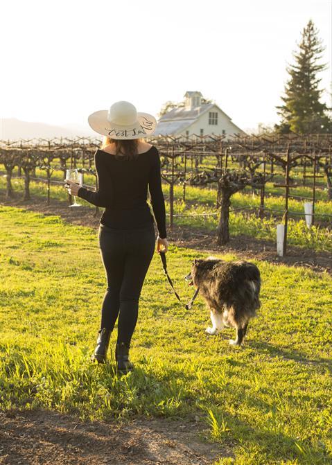 Fun at Calistoga ML Resort