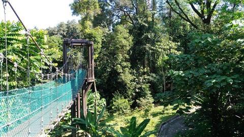 吉隆坡森林生態公園