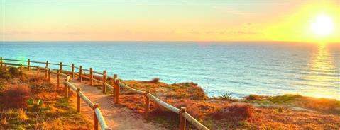 Torrey Pines State Reserve