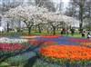 Keukenhof
