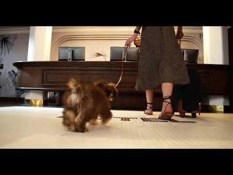 Bild des Veranstaltungsortes