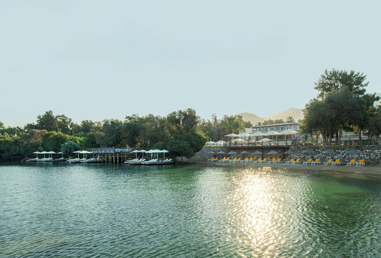 Изображение места проведения