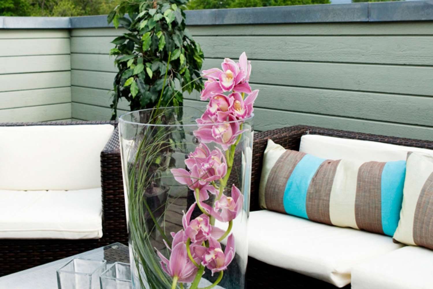 Bild på anläggning