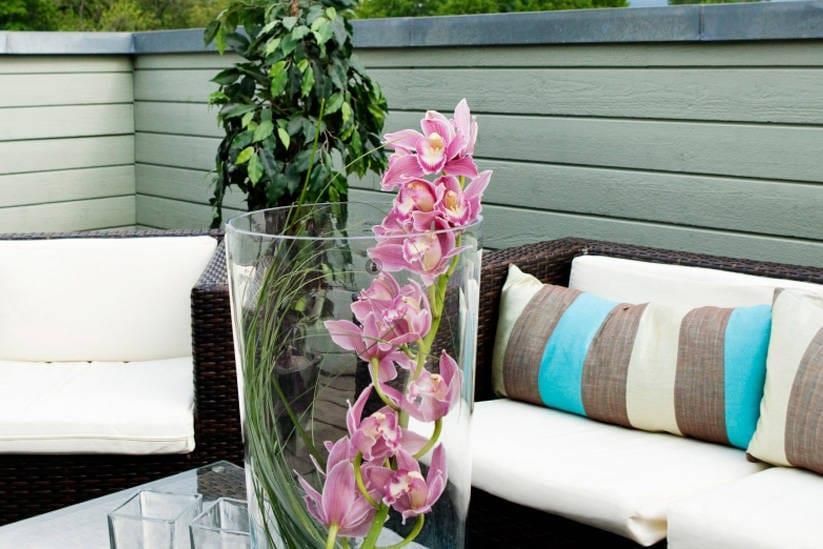 Изображение места проведения