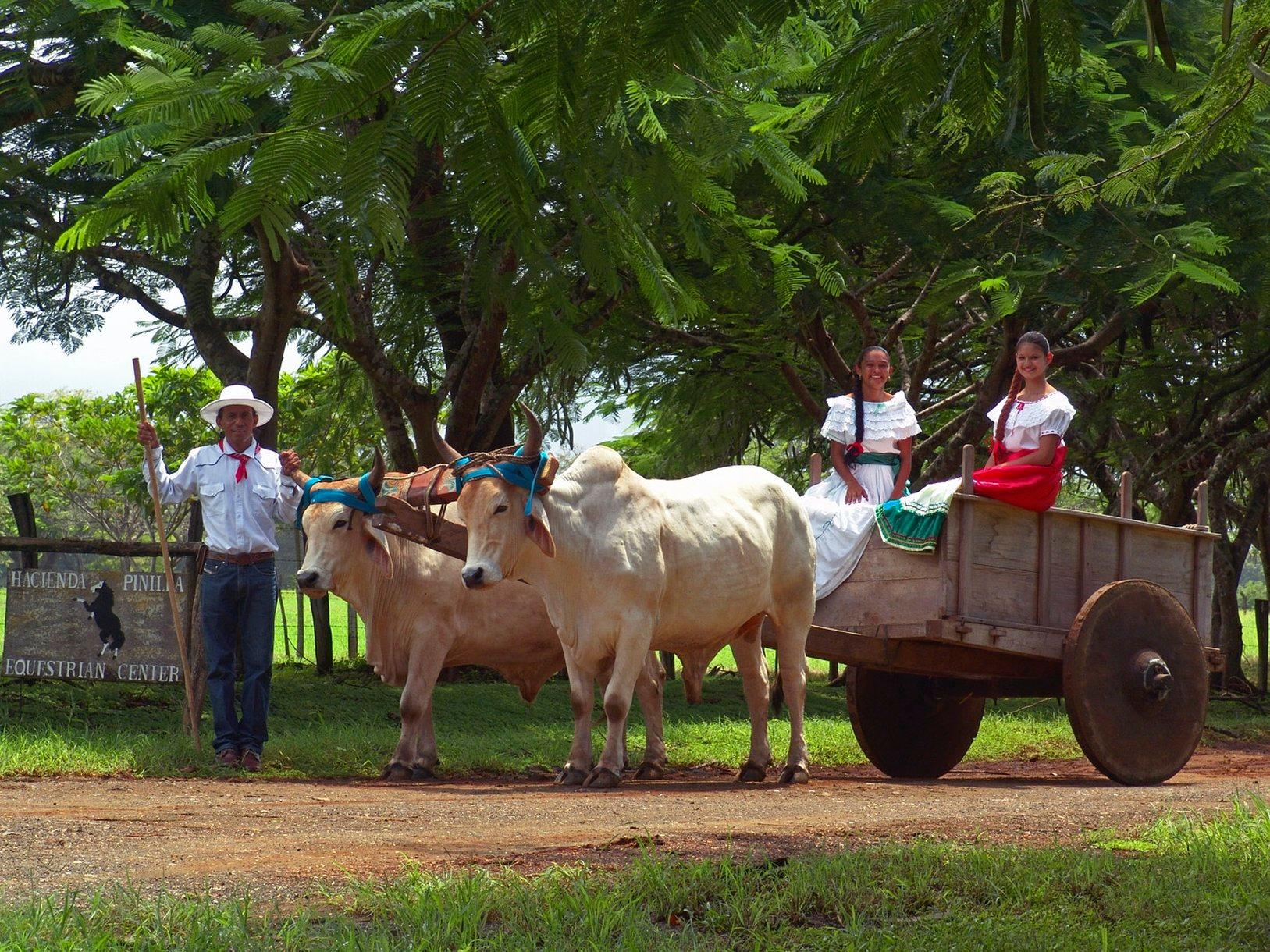 Hacienda Pinilla Beach & Golf Resort image