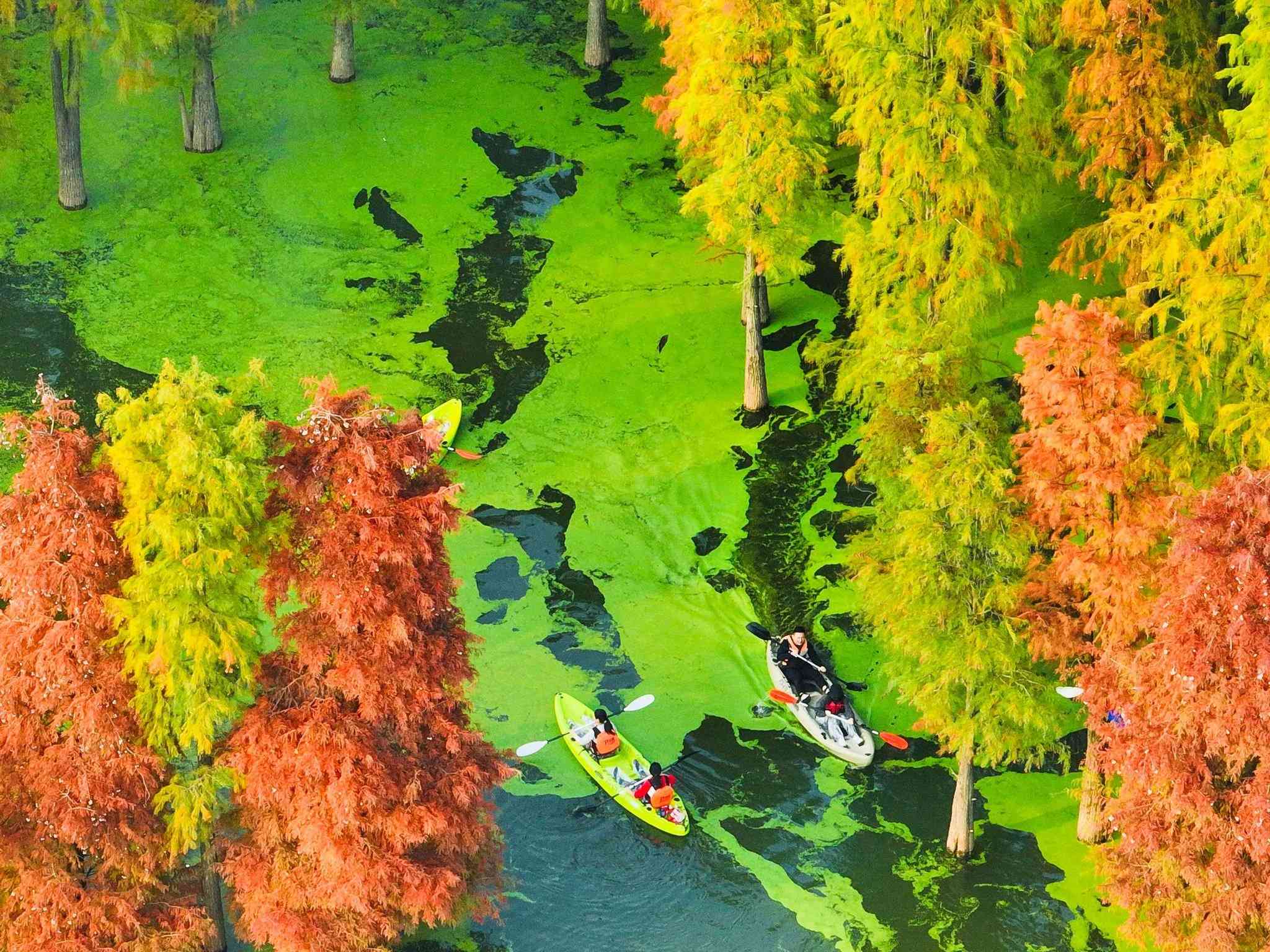 Grand Mercure Hangzhou Qingshan Lake (Opening Oct. 2024) en Hangzhou, CN